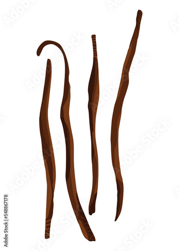 Vanilla pods and sticks. Realistic vector design isolated element. Nature spice