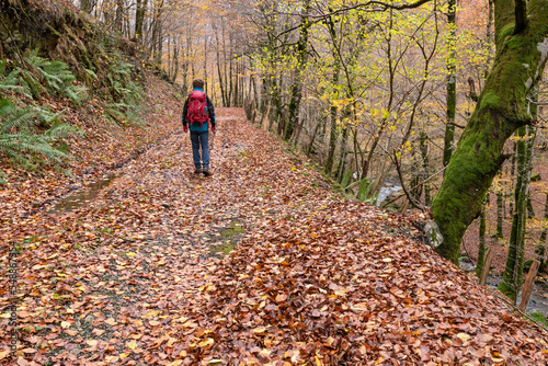 Hiker man walking through the forest in autumn