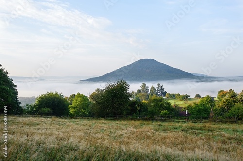 Foggy autumn landscape