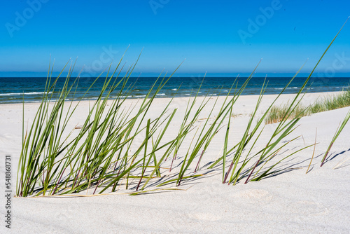 Fototapeta Naklejka Na Ścianę i Meble -  Sand dunes on the beach