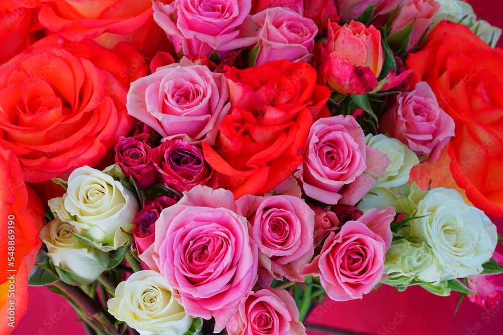 Fototapeta premium Colorful rose bouquet with multicolor flowers