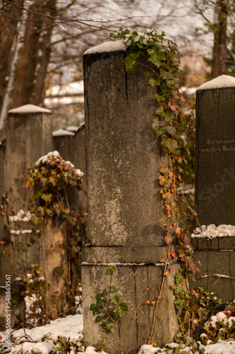 Jewish Cemetery photo