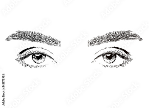 Woman eyes illustration. Beautiful woman with long eyelashes and thick eyebrows. Professional make-up and cosmetic skin care.