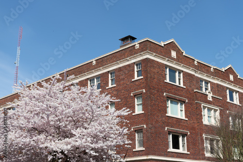 residential brick house with spring sakura on blue sky