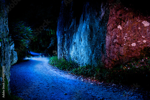 Skała nocą w świetle księżyca praz droga prowadząca w nieznane. Bajkowy las