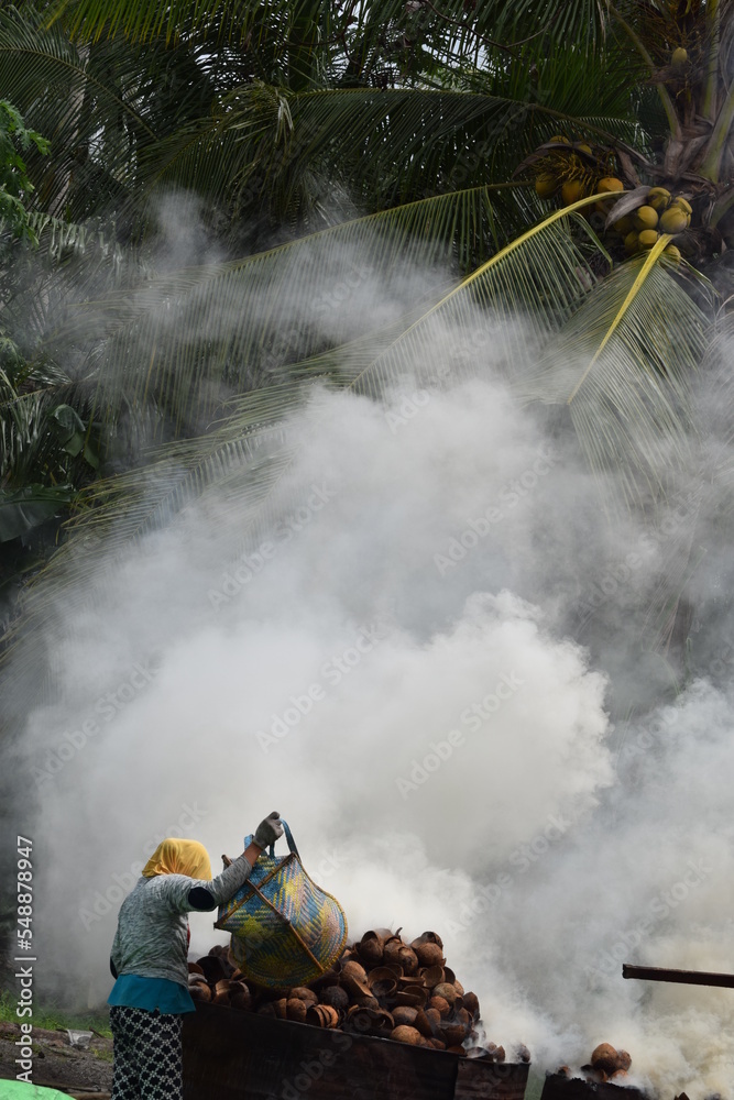 Obraz premium copra making process