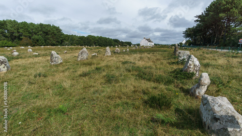 Miles long megalithic stones alignment on green meadow in Carnac, Brittany, France