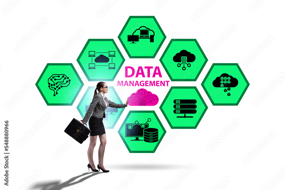 Businesswoman in data management concept Businesswoman in data management concept