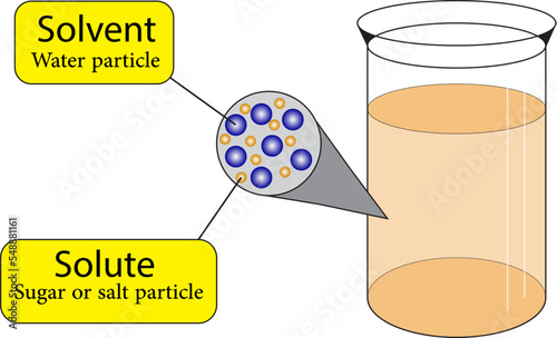 Solvent, solute molecules. Salt, sugar and water mixture. Homogeneous mixture. Solution under microscope. Solution atoms. Molecular structure. Liquid mix. White background. Illustration Vector
