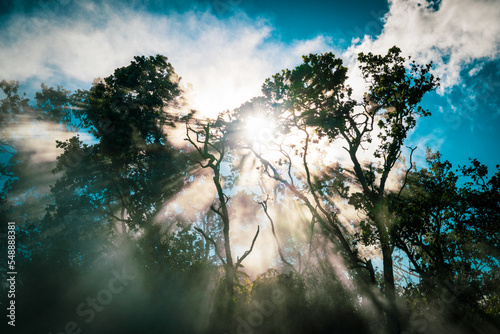 Sun rays shine through volcanic mist in Hawaii