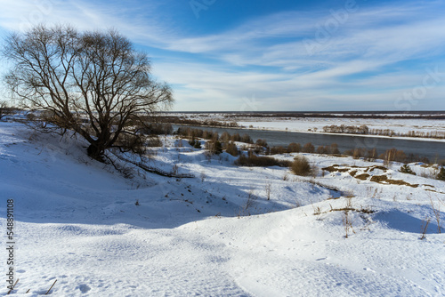 winter landscape with snow © Evgenii Ryzhenkov