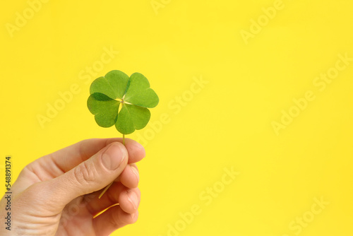 Woman holding beautiful green four leaf clover on yellow background, closeup. Space for text