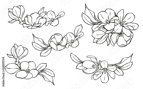 Line art flower and abstract wallpaper collection, group of flowers drawing, This collection is great for making invitation card, logos or printed on the shirt, canvas bag and many more.