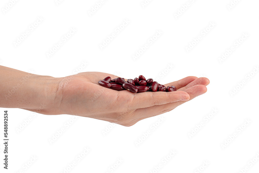 Hand and red beans or kidney bean isolated on transparent background. Hand and red beans or kidney bean isolated on transparent background.