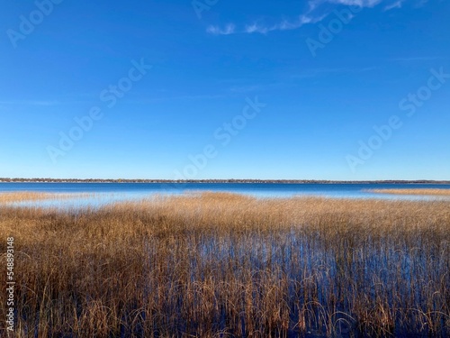 Lake landscape in Minnesota