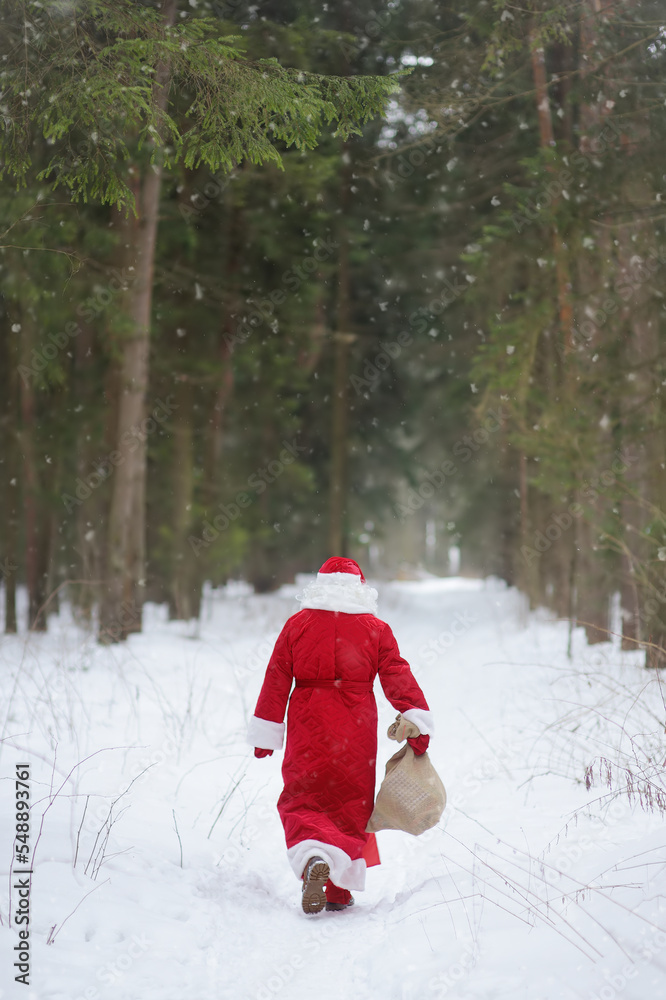 Santa Claus with bag of Christmas gifts is walking through snowy forest. Animator or parent in Santa Claus costume is rushing to a holiday for children. St. Nicholas Day. Santa Claus with bag of Christmas gifts is walking through snowy forest. Animator or parent in Santa Claus costume is rushing to a holiday for children. St. Nicholas Day.