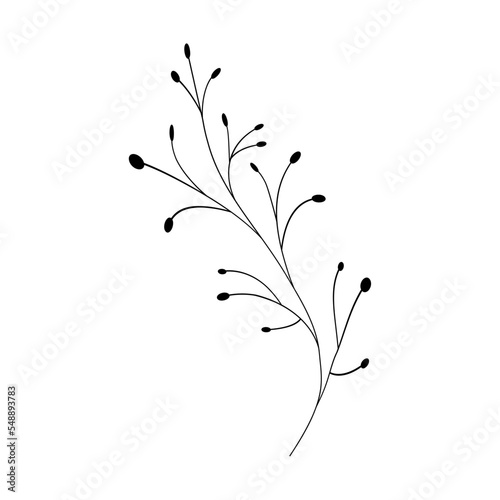leaf stalk floral