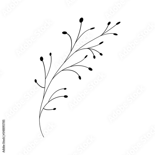 leaf stalk floral