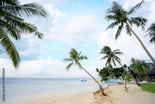 Fototapeta Naklejka Na Ścianę i Meble -  Tropical vacation. Coconut palm trees beach.