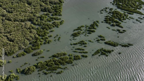 Beautiful Cinematic Aerial Drone Top Down Shot of Mangroves in Brail photo