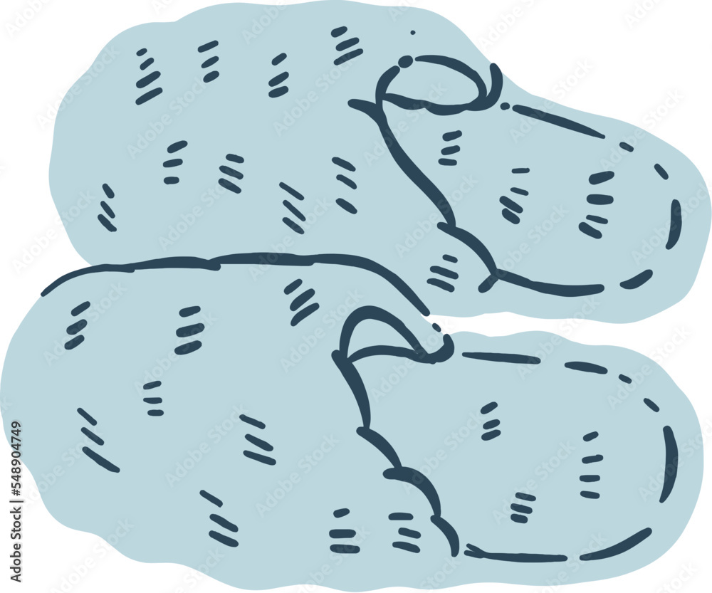 A couple of hairy house slippers illustration