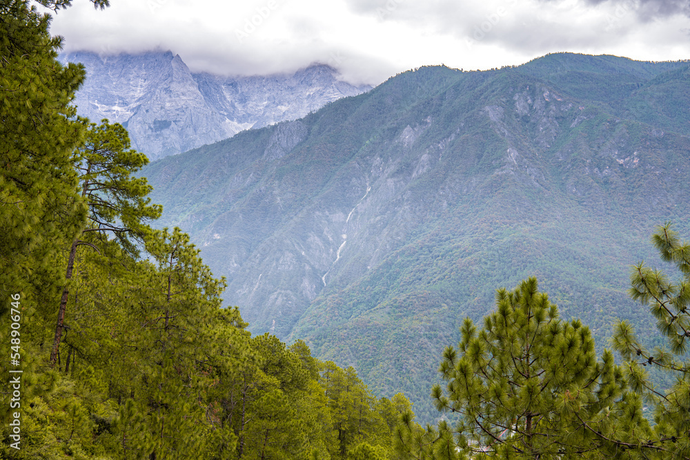 Obraz premium Beautiful snow mountain view behind the tall pine trees over Tiger Leaping Gorge Mountain