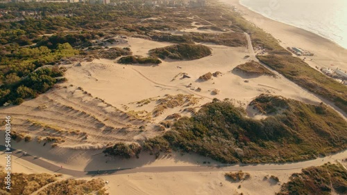 Aerial view over greenery on Kijkduin Beach during sunset photo