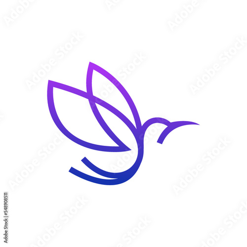 Colibri Gradient Logo Design