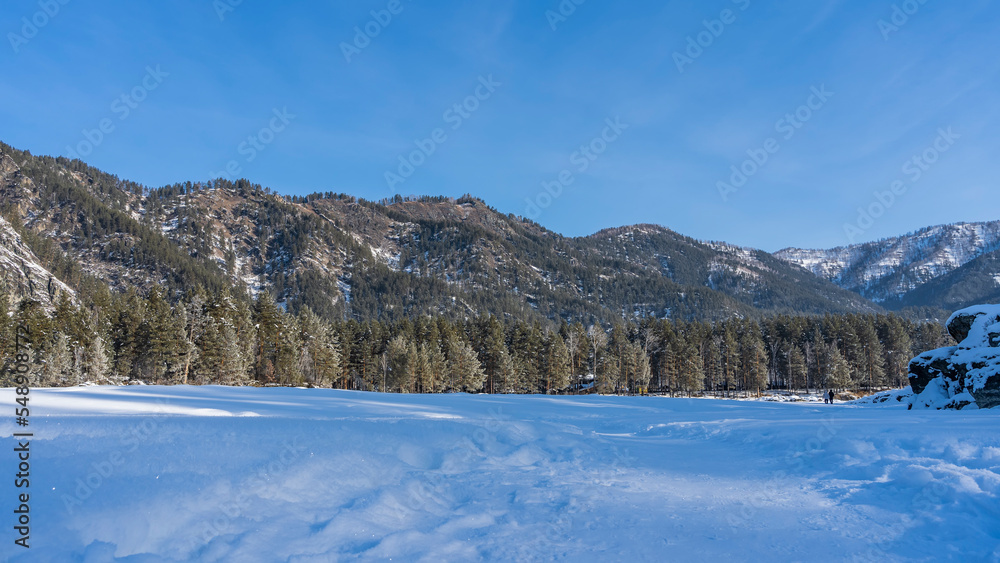 Obraz premium A path trodden in snowdrifts. Pure white snow sparkles in the sun. Silhouettes of walking people are visible in the distance. Taiga and mountain range against the blue sky. Altai