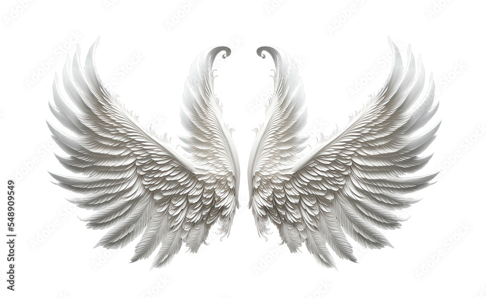 Obraz premium White angel wing