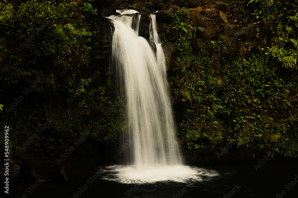 Fototapeta premium Waterfall on Maui, Hawaii