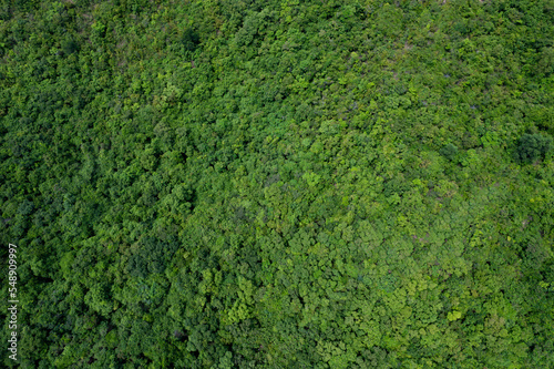aerial view of dark green forest Abundant natural ecosystems of rainforest. Concept of nature forest preservation and reforestation.