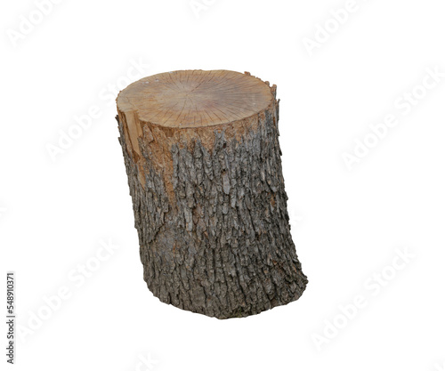 3d rendering realistic small cut tree trunk