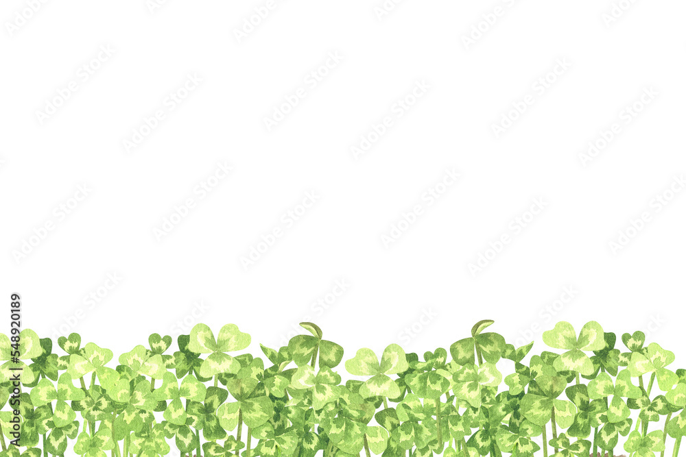 Rectangular text template with clover thickets at the bottom. Place for an inscription. Watercolor illustration. Isolated on a white background. For your design greeting cards, labels, brochures etc Rectangular text template with clover thickets at the bottom. Place for an inscription. Watercolor illustration. Isolated on a white background. For your design greeting cards, labels, brochures etc