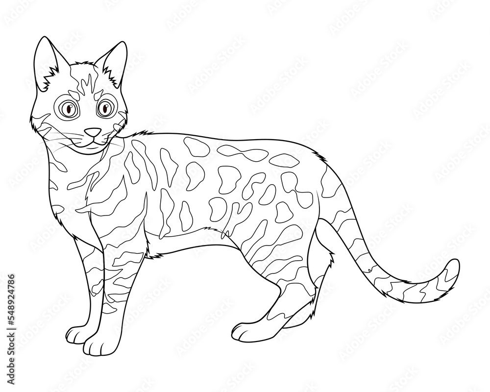 Bengal Cat Cartoon Animal Illustration BW Bengal Cat Cartoon Animal Illustration BW