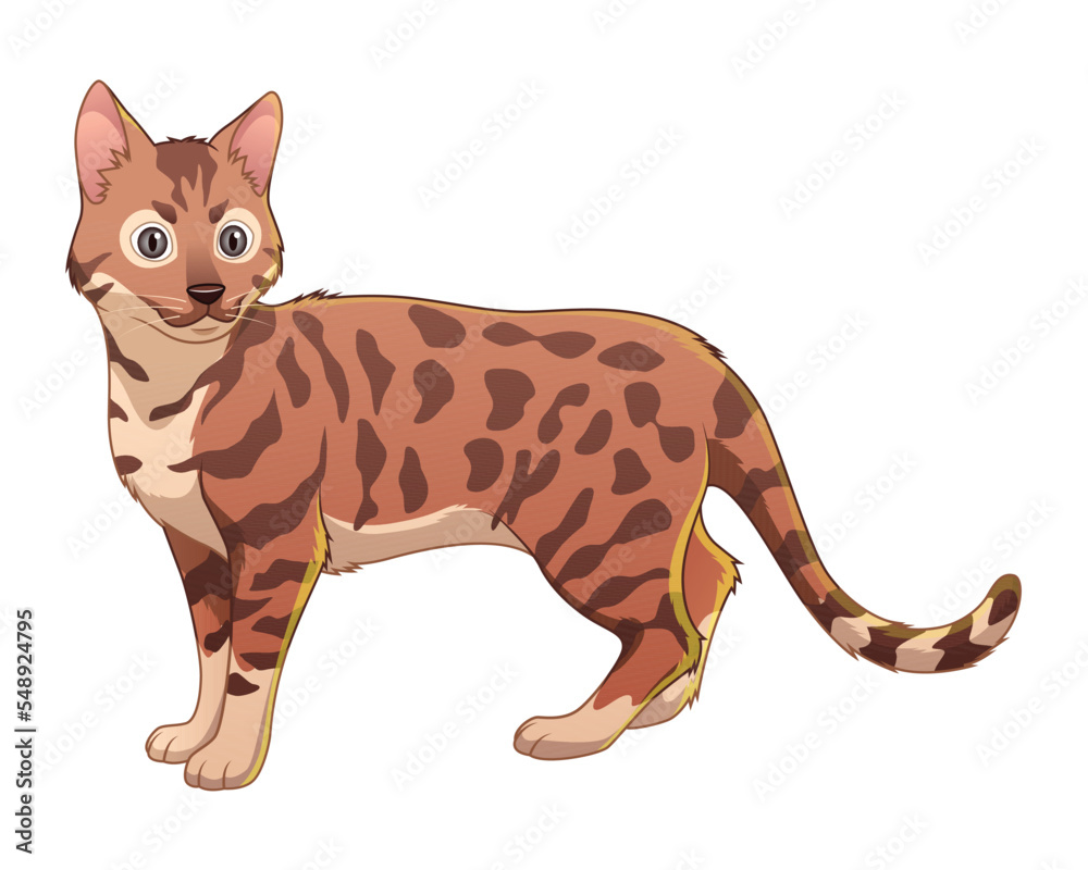 Bengal Cat Cartoon Animal Illustration Stock Vector | Adobe Stock