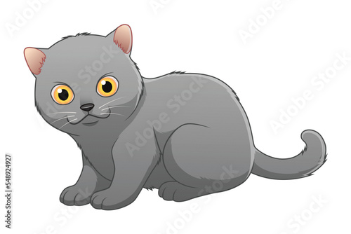 Little British Shorthair Cat Cartoon Animal Illustration © mikailain