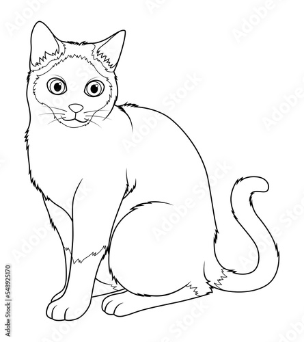 Siamese Cat Cartoon Animal Illustration BW