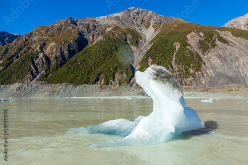 Tasman glacier iceberg photo