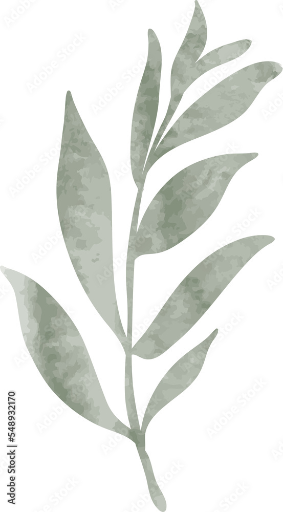 Naklejka premium Watercolor leaf branch illustration