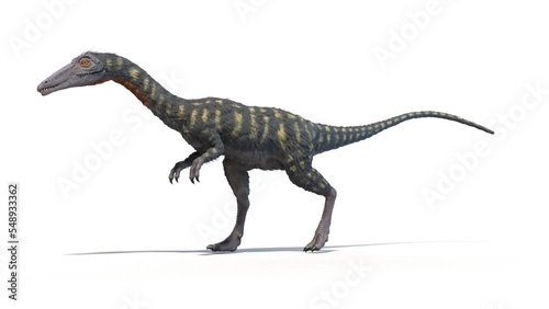 3D Rendered Animation of a walking Coelophysis photo