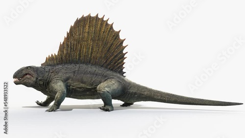 3D Rendered Animation of a Dimetrodon walking photo