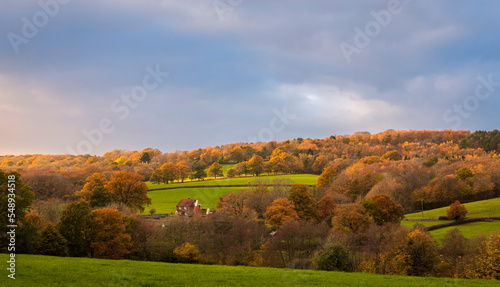 Warm sunset light catching autumn woodland countryside on the high weald near Robertsbridge East Sussex south east England