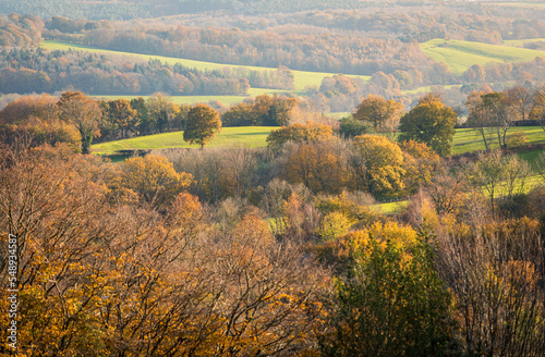Ancient autumn woodland on the high weald near Silver Hill east Sussex south east England.