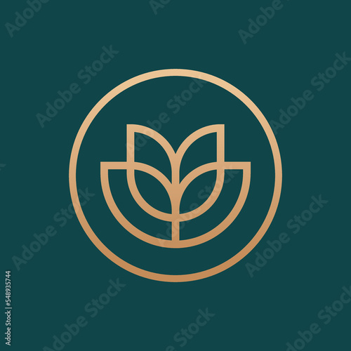 Abstract leaf logo. Elegant modern eco vector logotype.
