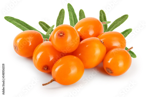 Sea buckthorn. Fresh ripe berry isolated on white background macro