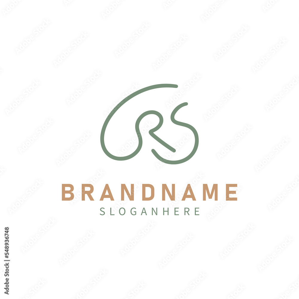 Initial Letter R S logo design template