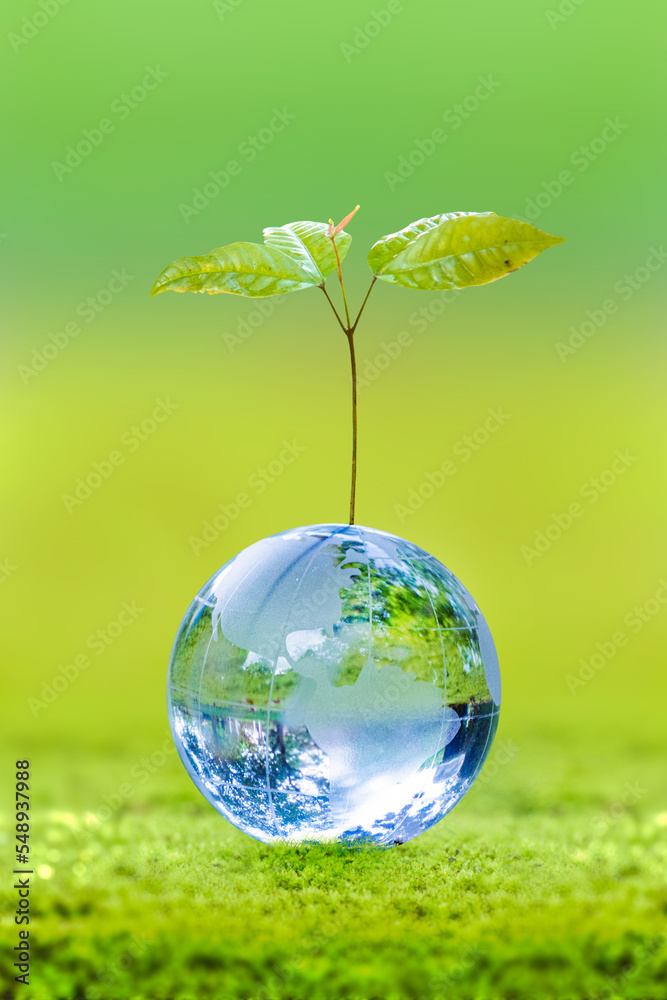 3D illustration Renewable energy concept Earth Day or environmental protection Protect the forests that grow on the ground and help save the planet. 3D illustration Renewable energy concept Earth Day or environmental protection Protect the forests that grow on the ground and help save the planet.