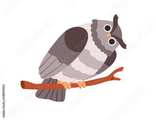 Vászonkép Cute owl with tilted leaned head, sitting on tree branch twig