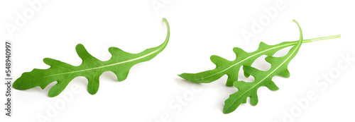 Green fresh rucola or arugula leaf isolated on white background macro photo